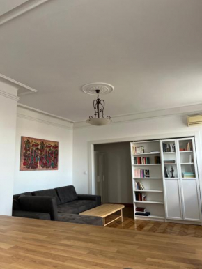Central View Home Belgrade